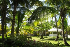 grand-palladium-bavaro-der-garten_1562