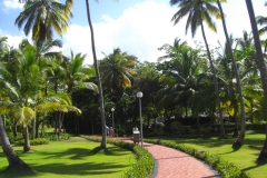grand-palladium-bavaro-der-garten_1564