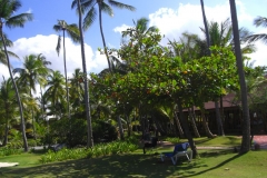 grand-palladium-bavaro-der-garten_1566