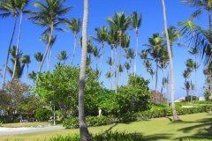 grand-palladium-bavaro-der-garten_1568
