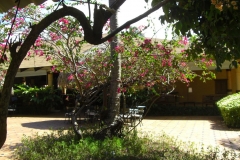 grand-palladium-bavaro-lobbybereich_1756