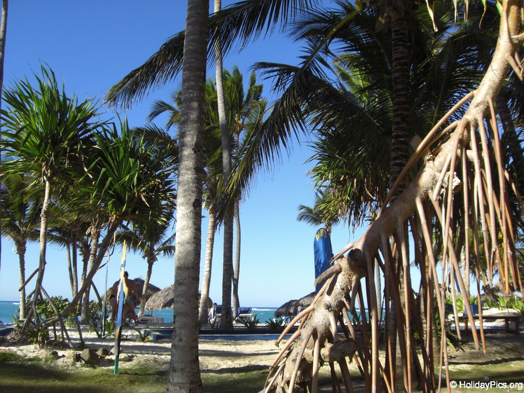 bavaro-princess-all-suites-strand_0532