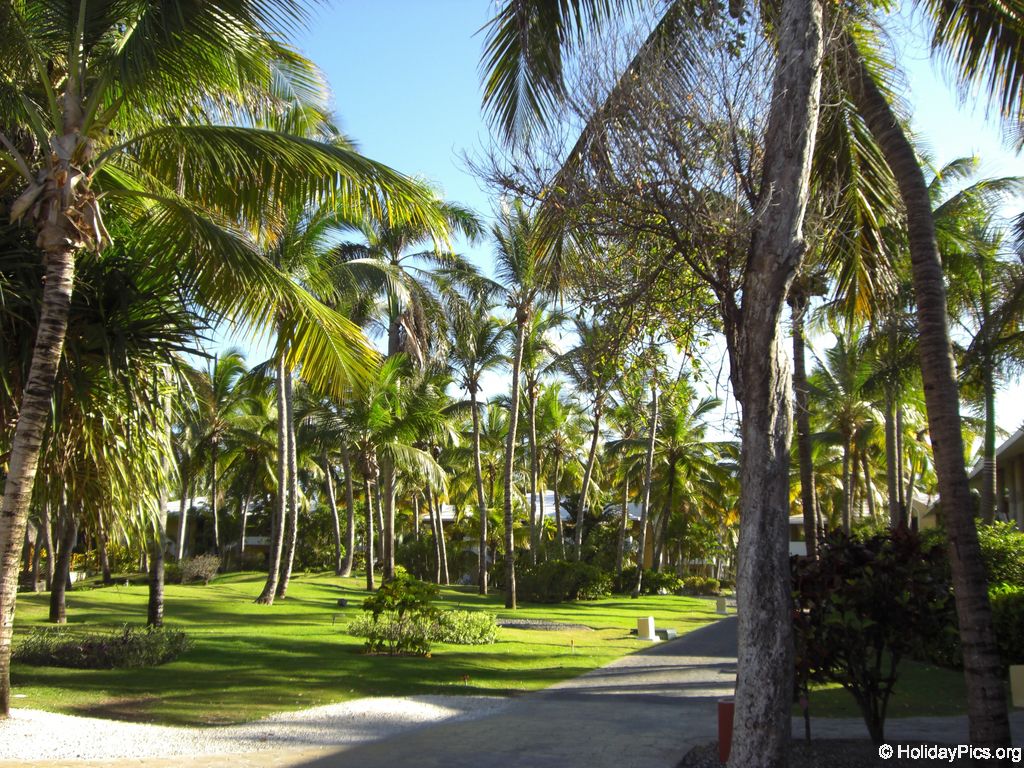 bavaro-princess-all-suites_0518