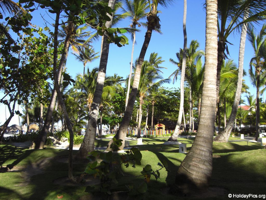 bavaro-princess-all-suites_0536