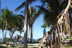 bavaro-princess-all-suites-strand_0532