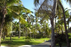 bavaro-princess-all-suites_0518