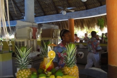 bahia-principe-bavaro-resort_2181