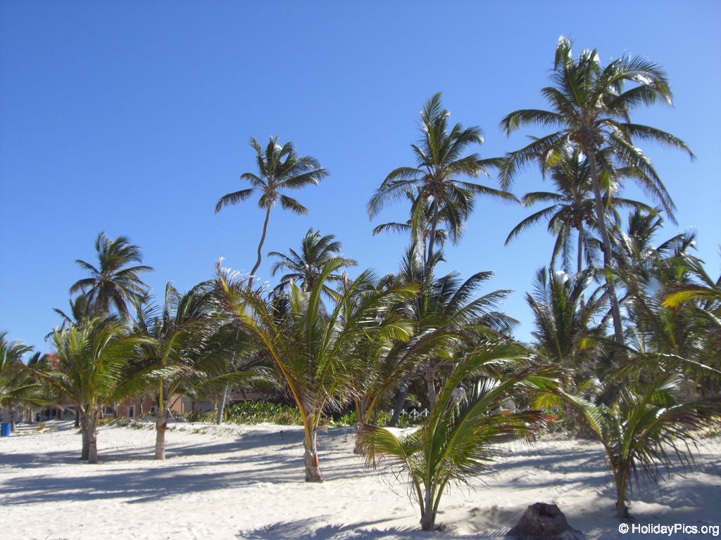 strand-naehe-lti-beach-resort_4816