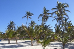 strand-naehe-lti-beach-resort_4816