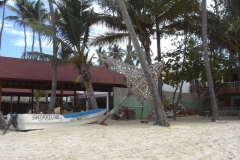 strand-naehe-palladium_4085