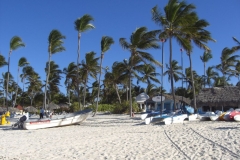 strand-naehe-paradisus-punta-cana_0496