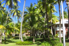 grand-palladium-bavaro-bungalows_1664