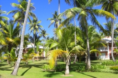 grand-palladium-bavaro-bungalows_1665