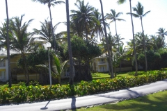 grand-palladium-bavaro-bungalows_1668