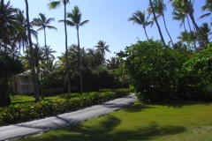 grand-palladium-bavaro-bungalows_1669