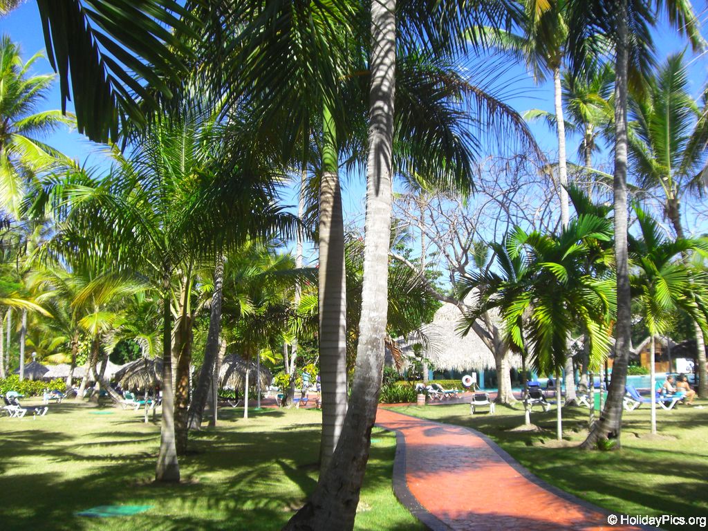 grand-palladium-bavaro-poolbereich_1759