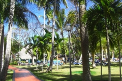 grand-palladium-bavaro-poolbereich_1758