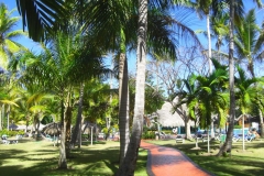 grand-palladium-bavaro-poolbereich_1759