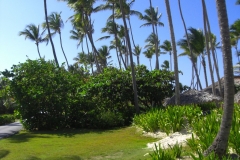 grand-palladium-bavaro-strandbereich_1599