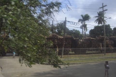 dominikanische-republik_zuckerrohr_310