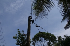 Blowhole Kudawella Sri Lanka