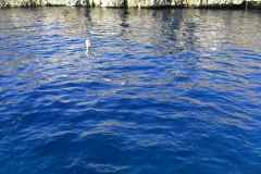 Malta_Blue_Grotto_Foto25