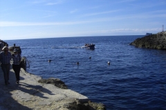 Malta_Blue_Grotto_Foto28