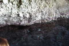 Malta_Blue_Grotto_Foto48