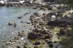 charm-churee-ko-tao-restauran18