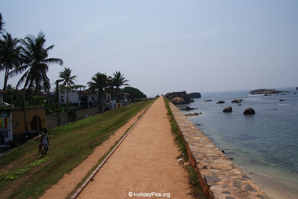SONY DSC