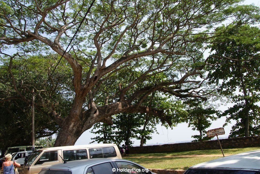 Fort-Galle-Sri-Lanka-091