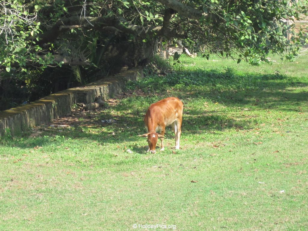 Fort-Galle-Sri-Lanka-113