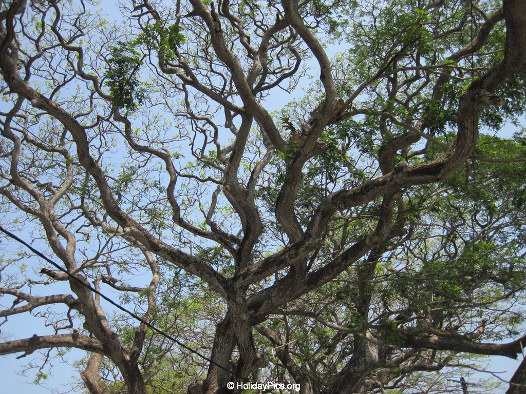 Fort-Galle-Sri-Lanka-197