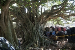 Fort Galle Sri Lanka