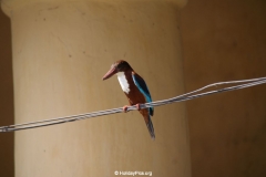 Fort Galle Sri Lanka