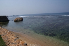 SONY DSC