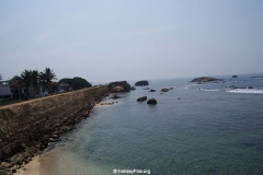 SONY DSC