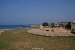 SONY DSC