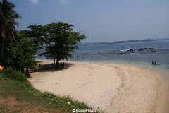 SONY DSC
