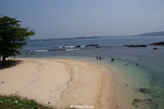 SONY DSC
