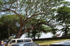 Fort-Galle-Sri-Lanka-091