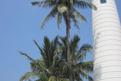 Fort-Galle-Sri-Lanka-188