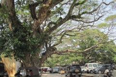 Fort-Galle-Sri-Lanka-196