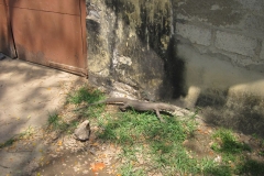 Fort-Galle-Sri-Lanka-200