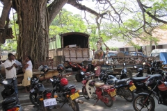 Fort-Galle-Sri-Lanka-204