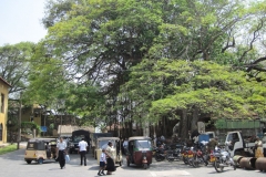 Fort-Galle-Sri-Lanka-205