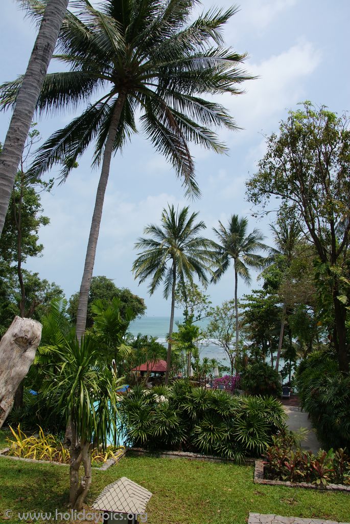 SONY DSC