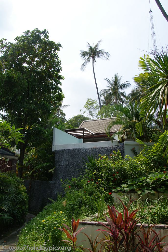 SONY DSC