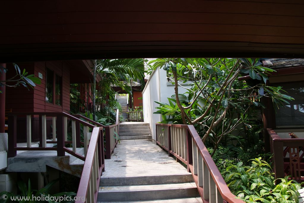 SONY DSC