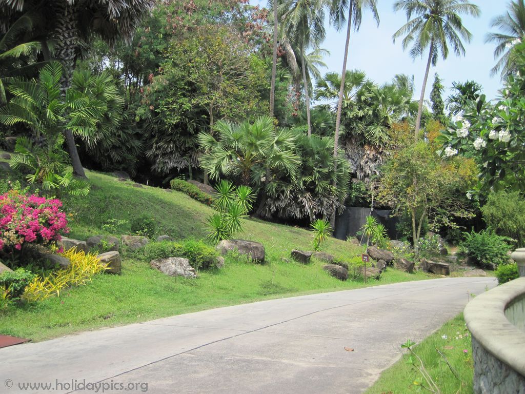 Centara-Villa-Photo-Gallery50